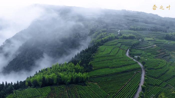 泰顺攻略，去十次都不会腻的小众旅游地-泰顺旅游景点大全排名