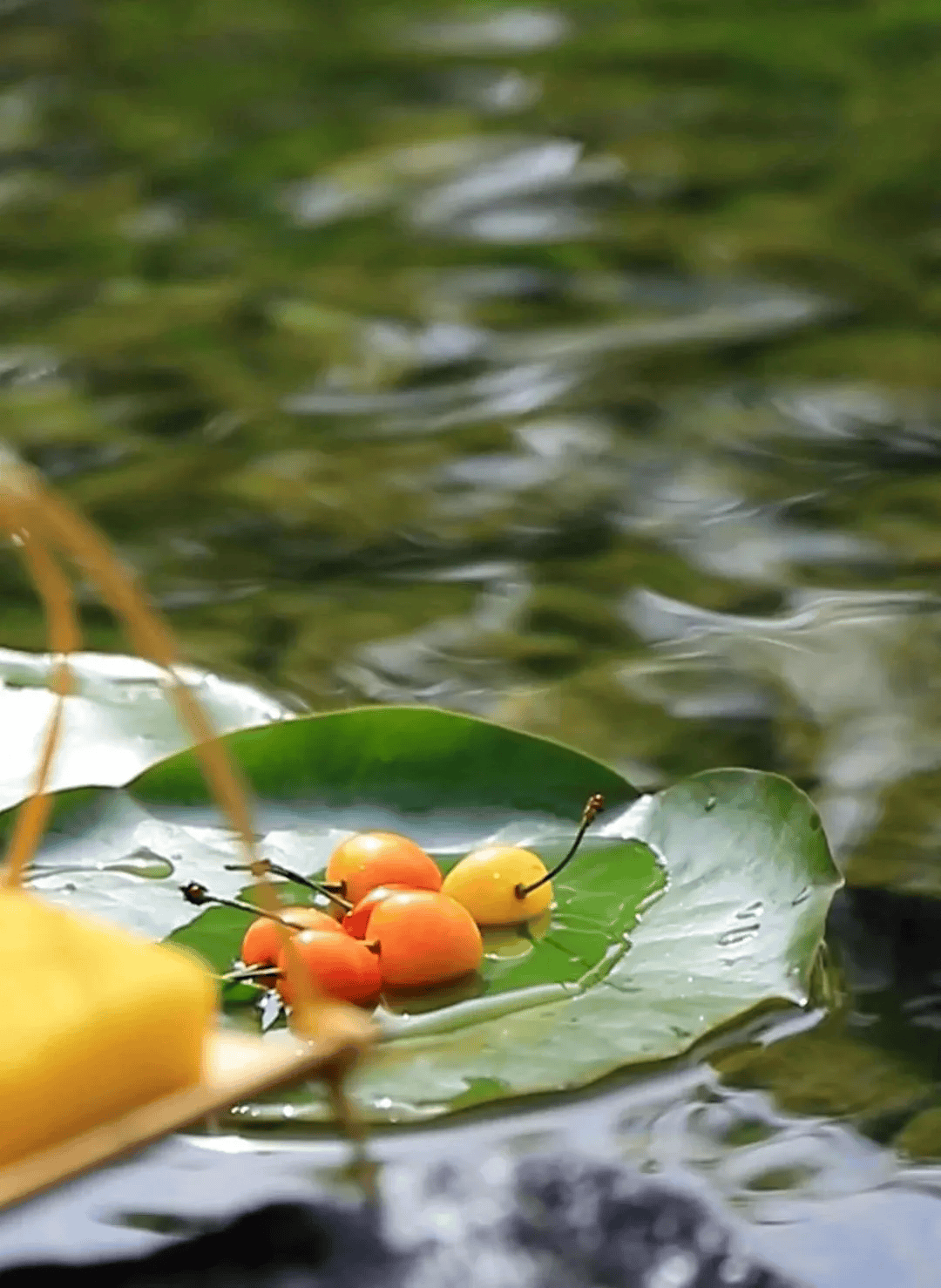 初夏的仪式感-初夏的感悟