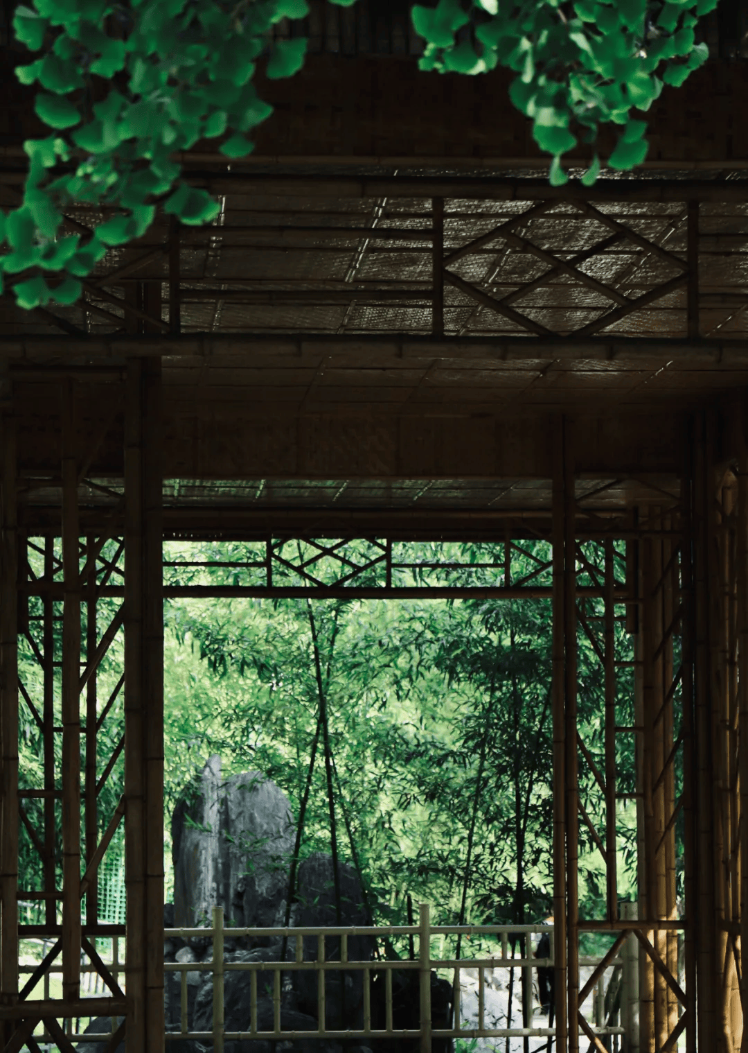 初夏的仪式感-初夏的感悟