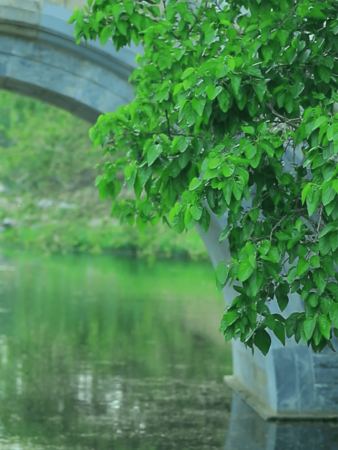 初夏的仪式感-初夏的感悟