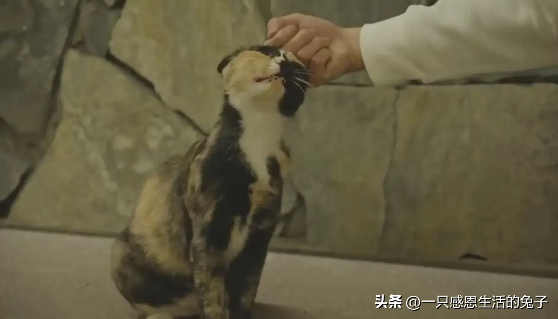 肖战：漫步重庆街头，商家连夜做打卡牌！地图都标好了，这速度！-肖战重庆打卡原图