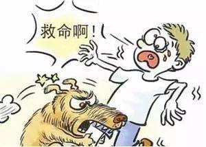 被狗咬伤腿 犬主赔偿5000元-狗咬了腿