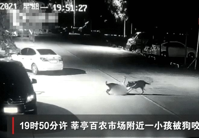 山东一幼童遭两只恶犬扑咬，狗主人已被采取措施，警方：无生命危险-小孩遭2只狗撕咬 父亲:伤口深见动脉