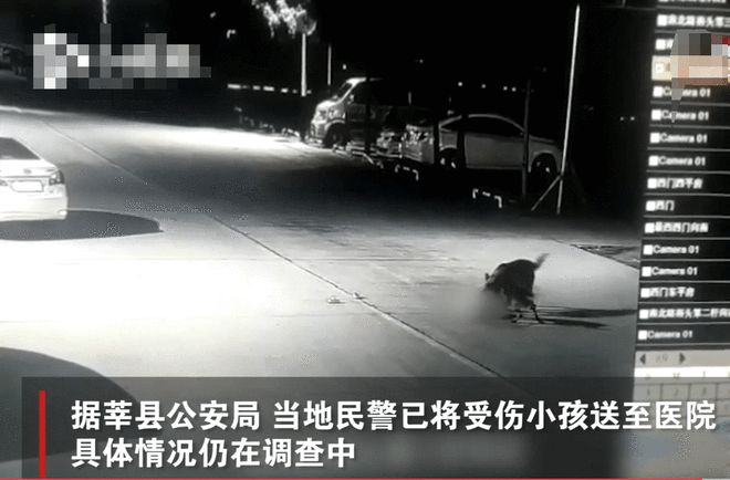 山东一幼童遭两只恶犬扑咬，狗主人已被采取措施，警方：无生命危险-小孩遭2只狗撕咬 父亲:伤口深见动脉
