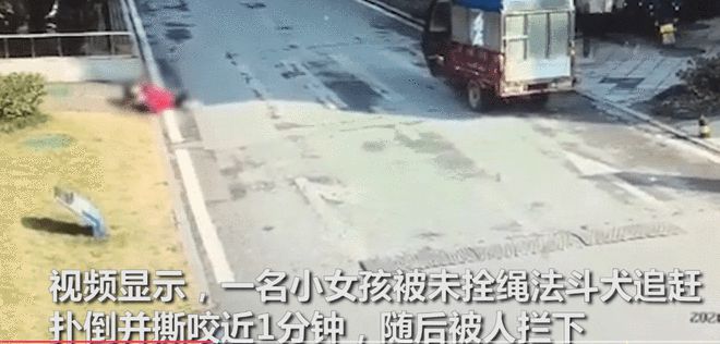 山东一幼童遭两只恶犬扑咬，狗主人已被采取措施，警方：无生命危险-小孩遭2只狗撕咬 父亲:伤口深见动脉