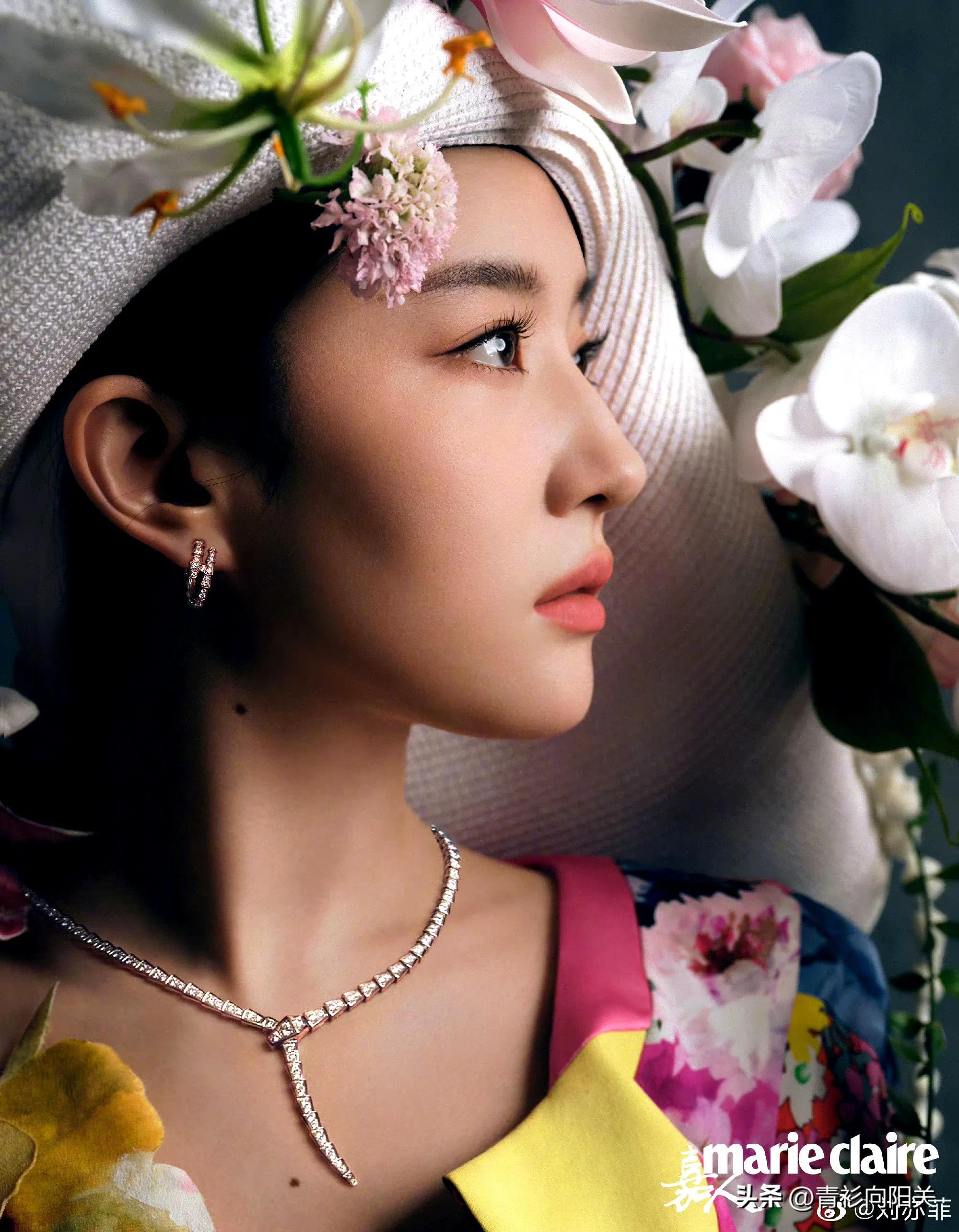 《玫瑰故事》一女四男的大女主故事 刘亦菲路透高糊阻挡不了的美貌-玫瑰的故事小说亦舒