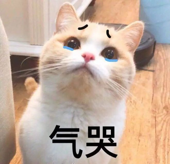 浙江女子婚礼后哭了三夜：人生留下了污点！只因婚宴上…-浙江一女子出嫁