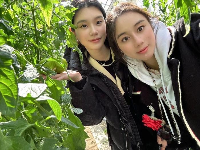 何超欣为嫂子庆生，还去采摘园采摘西红柿，奚梦瑶还疑似有孕相？-何超欣fans