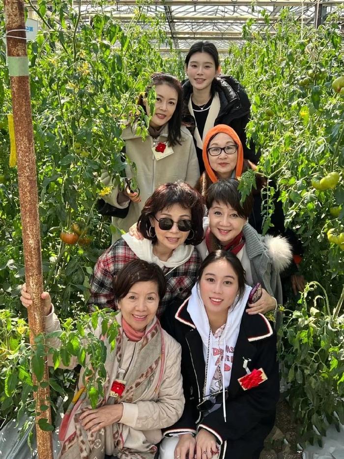 何超欣为嫂子庆生，还去采摘园采摘西红柿，奚梦瑶还疑似有孕相？-何超欣fans