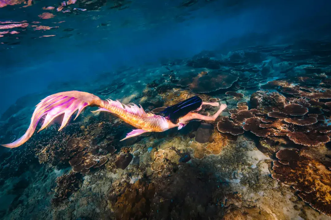 潜水时被弃海中，游了2小时才靠岸？官方回应！-潜水了怎么办