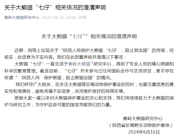 陕西人民阻止大熊猫“七仔”出国？官方回应：不实-大熊猫为什么只在四川陕西甘肃