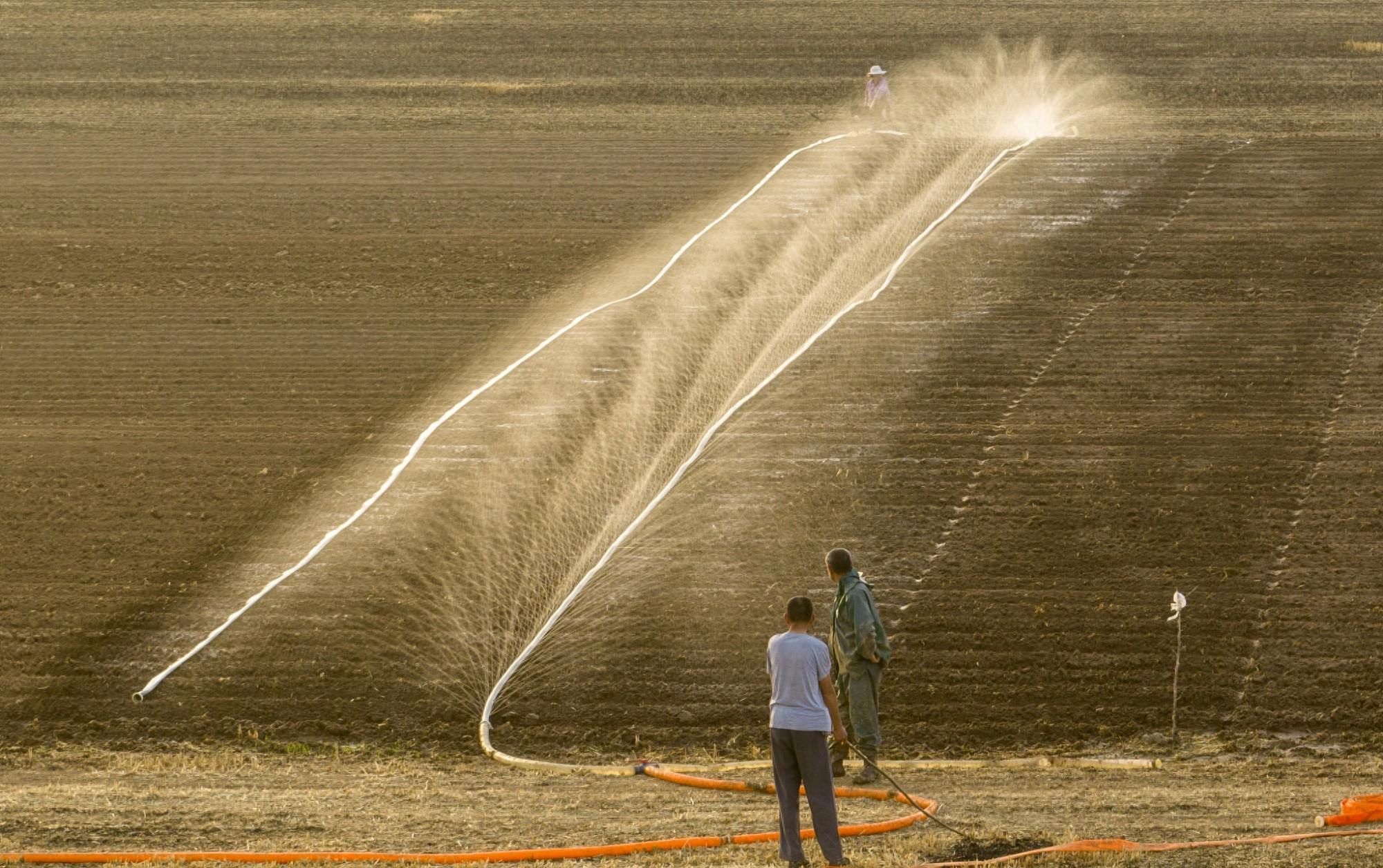 当前旱情有哪些特点？何时才能缓解？如何抗旱保灌保供水？水利部回应-旱灾和旱涝一样吗图片