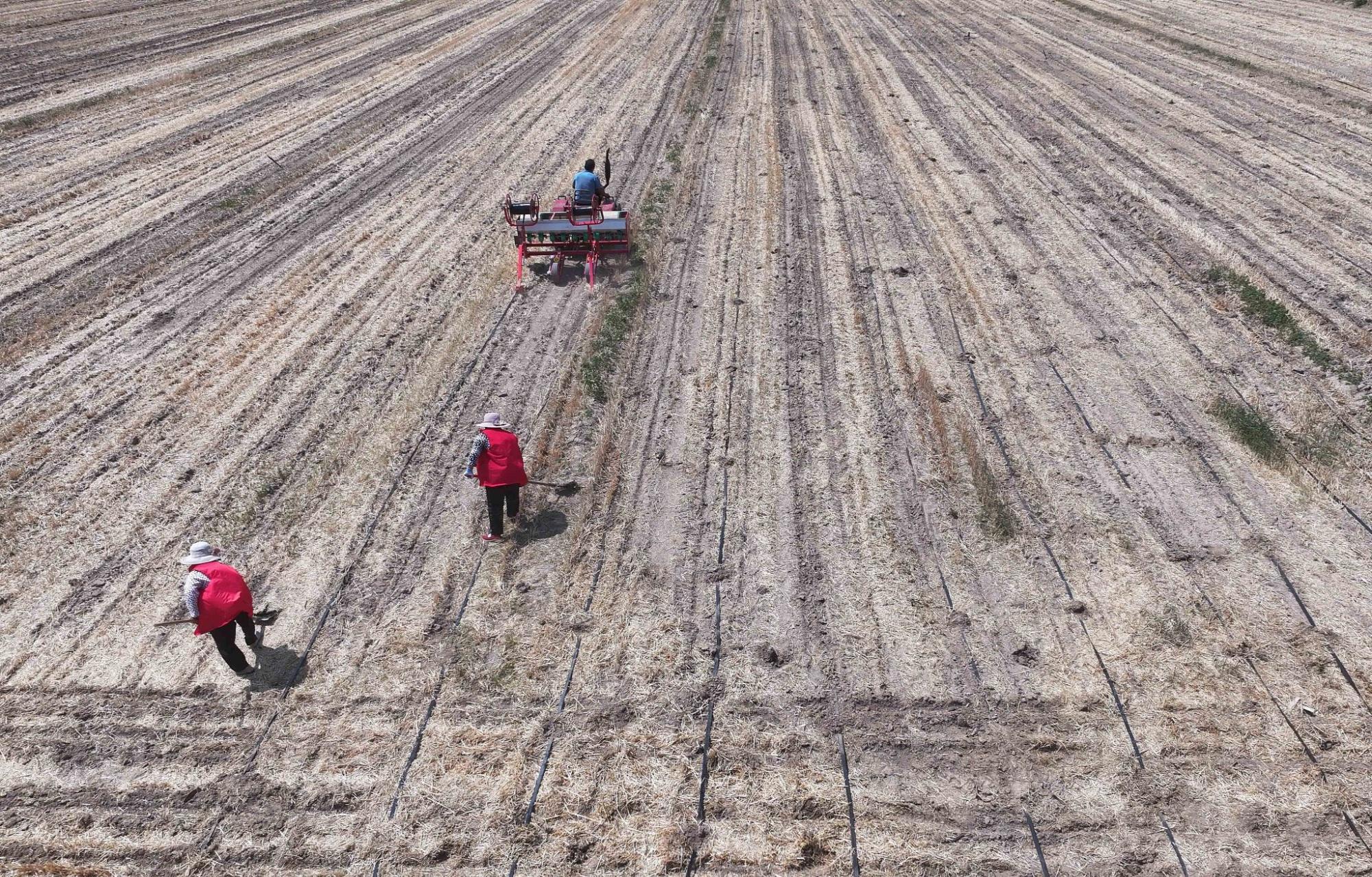 当前旱情有哪些特点？何时才能缓解？如何抗旱保灌保供水？水利部回应-旱灾和旱涝一样吗图片