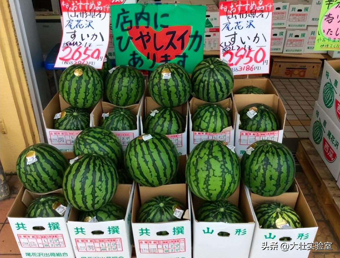 老外吃不起，中国人炫不完！谁让14亿中国人实现了西瓜自由？-外国人在中国吃西瓜