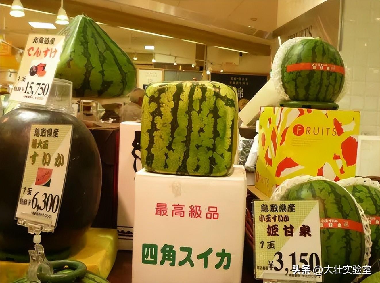 老外吃不起，中国人炫不完！谁让14亿中国人实现了西瓜自由？-外国人在中国吃西瓜