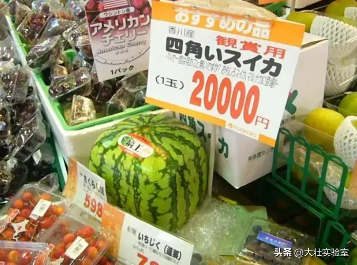 老外吃不起，中国人炫不完！谁让14亿中国人实现了西瓜自由？-外国人在中国吃西瓜