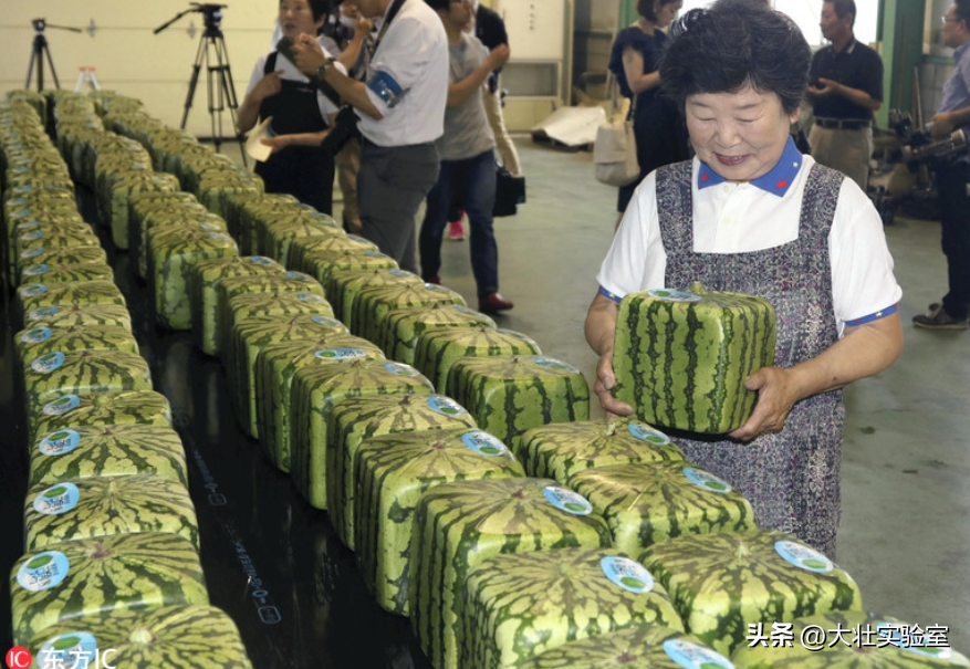 老外吃不起，中国人炫不完！谁让14亿中国人实现了西瓜自由？-外国人在中国吃西瓜