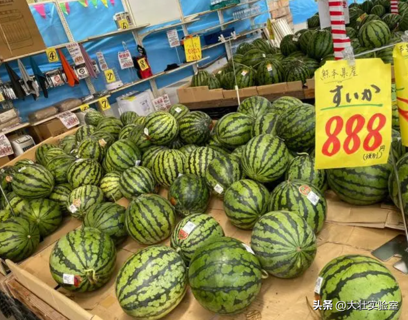 老外吃不起，中国人炫不完！谁让14亿中国人实现了西瓜自由？-外国人在中国吃西瓜