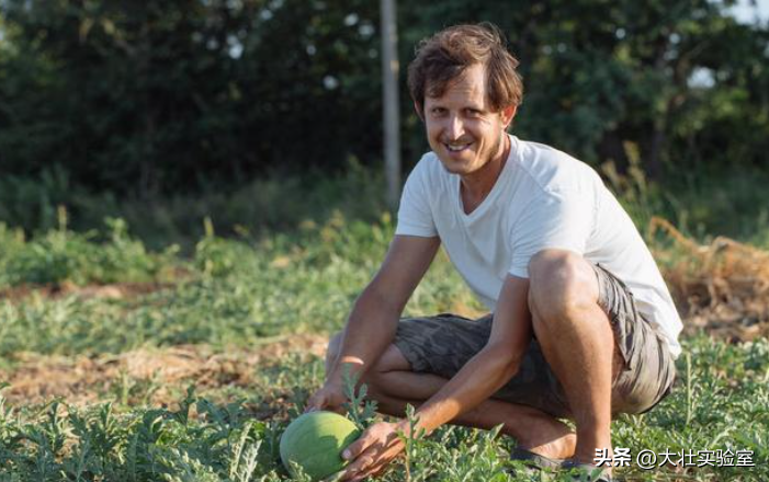 老外吃不起，中国人炫不完！谁让14亿中国人实现了西瓜自由？-外国人在中国吃西瓜