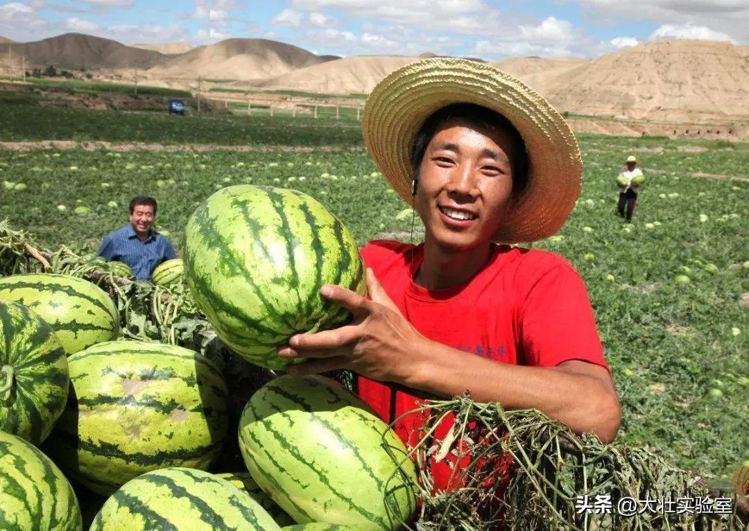 老外吃不起，中国人炫不完！谁让14亿中国人实现了西瓜自由？-外国人在中国吃西瓜