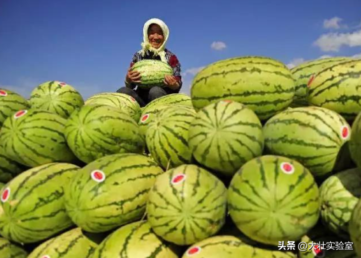老外吃不起，中国人炫不完！谁让14亿中国人实现了西瓜自由？-外国人在中国吃西瓜