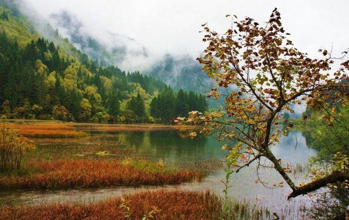 人很低调，贵人却很多，事业路上没有小人影响的四个星座-没有事业心的摩羯座