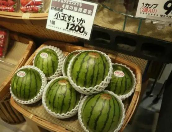 日本、韩国一个西瓜卖两三百，不从中国大量进口因为“高要求”-日本西瓜大概多少钱