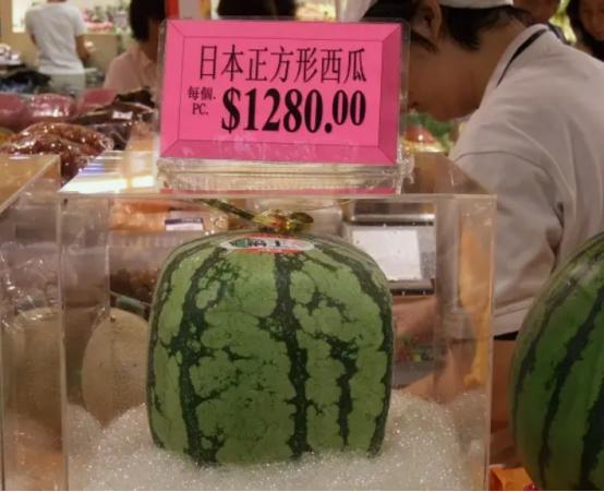 日本、韩国一个西瓜卖两三百，不从中国大量进口因为“高要求”-日本西瓜大概多少钱