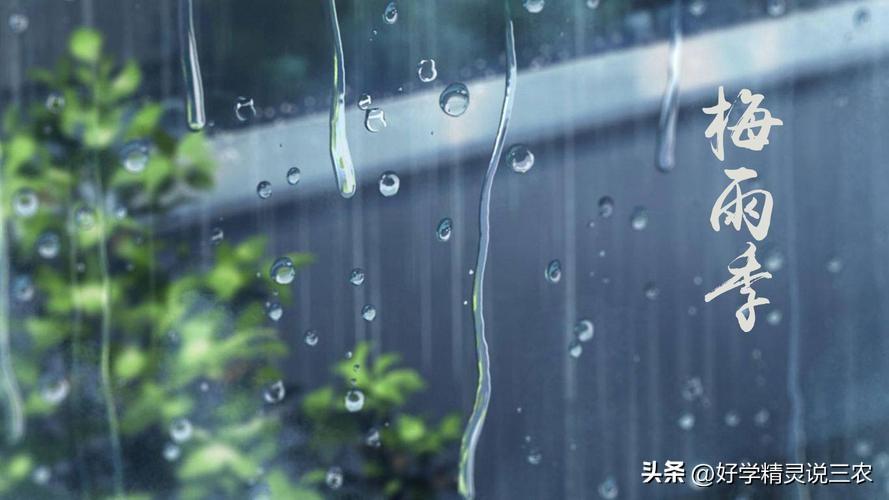新一轮强降雨中心已定，大雨暴雨雨分布如下,明日18~19号天气预报-全国16至18号大雨预报