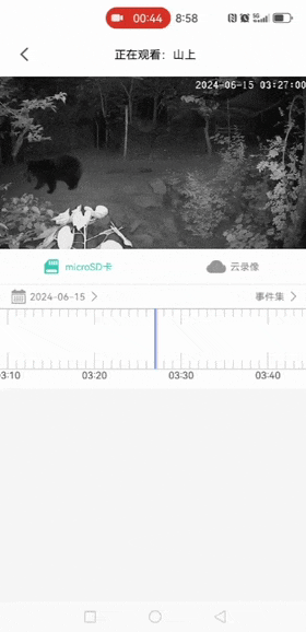 成都金堂居然真的有熊出没，从小听说过，没想到是真的！-金堂有啥子好耍的