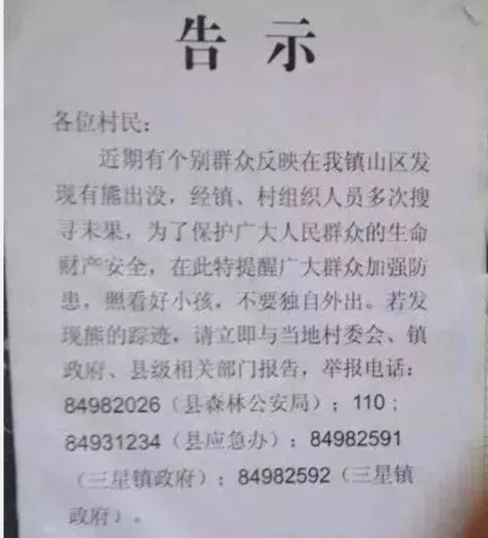 成都金堂居然真的有熊出没，从小听说过，没想到是真的！-金堂有啥子好耍的