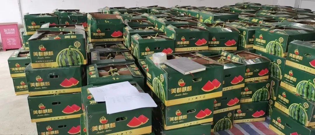 上海青浦一场爱心接力，江苏东台瓜农10万斤滞销西瓜5天卖完-今日东台西瓜批发行情