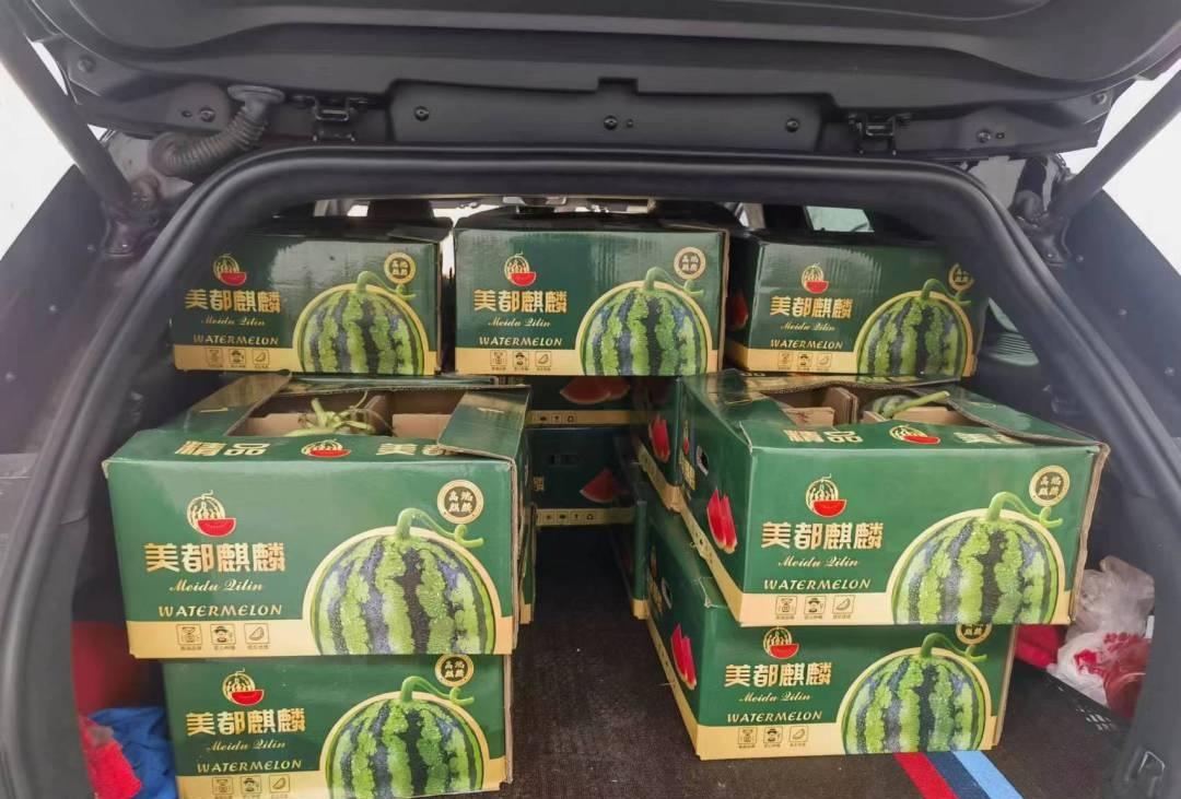 上海青浦一场爱心接力，江苏东台瓜农10万斤滞销西瓜5天卖完-今日东台西瓜批发行情