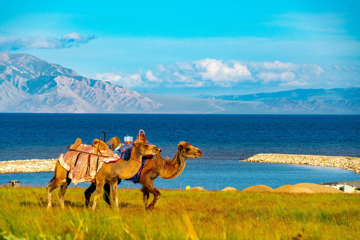 新疆面临持续高温挑战，多地气温达35℃以上-新疆气温低吗