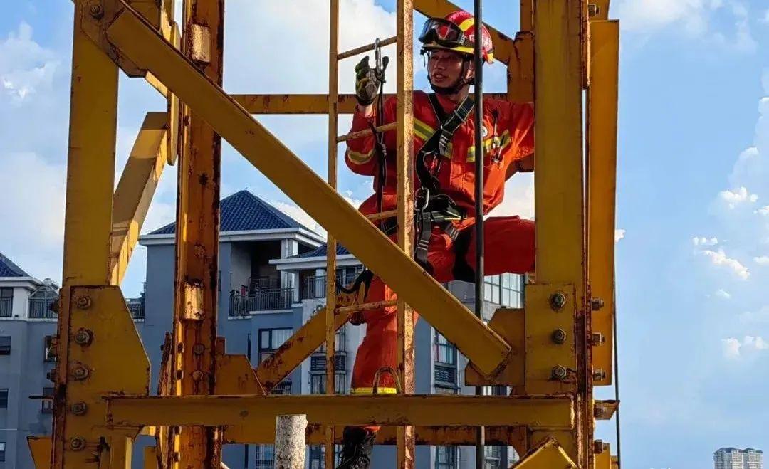 塔吊工被马蜂蜇伤失去意识，被困66米平台-塔吊上有鸟窝是好事还是坏事