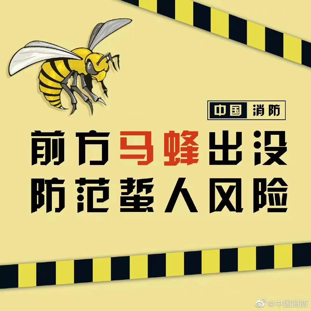 塔吊工被马蜂蜇伤失去意识，被困66米平台-塔吊上有鸟窝是好事还是坏事