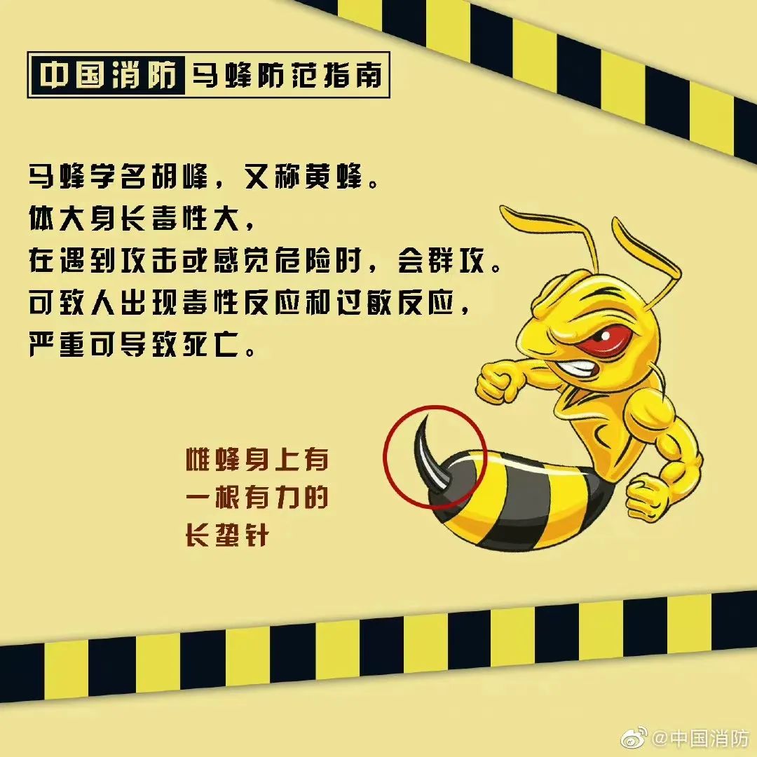 塔吊工被马蜂蜇伤失去意识，被困66米平台-塔吊上有鸟窝是好事还是坏事