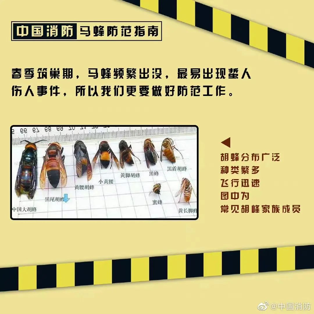 塔吊工被马蜂蜇伤失去意识，被困66米平台-塔吊上有鸟窝是好事还是坏事