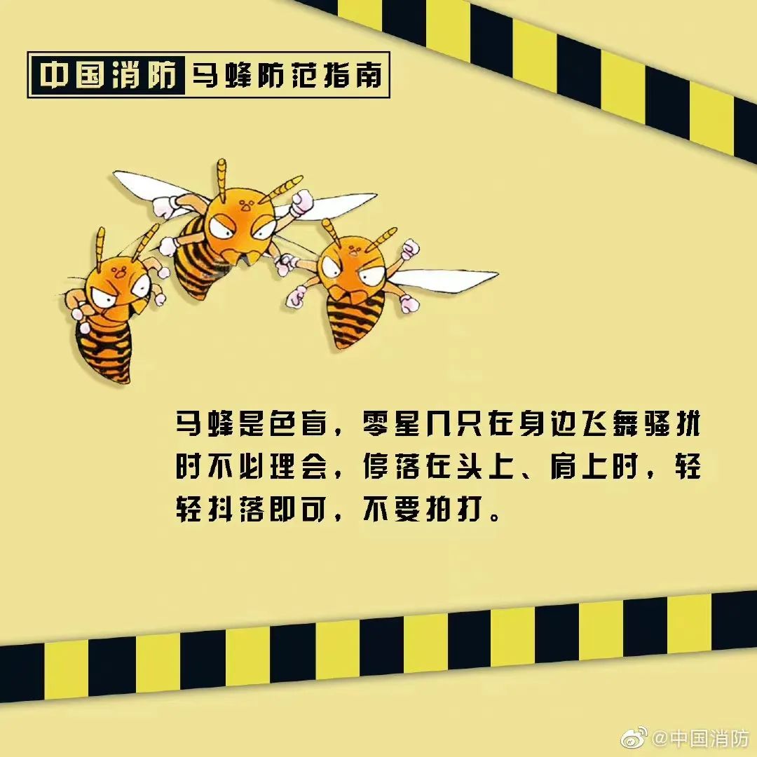 塔吊工被马蜂蜇伤失去意识，被困66米平台-塔吊上有鸟窝是好事还是坏事