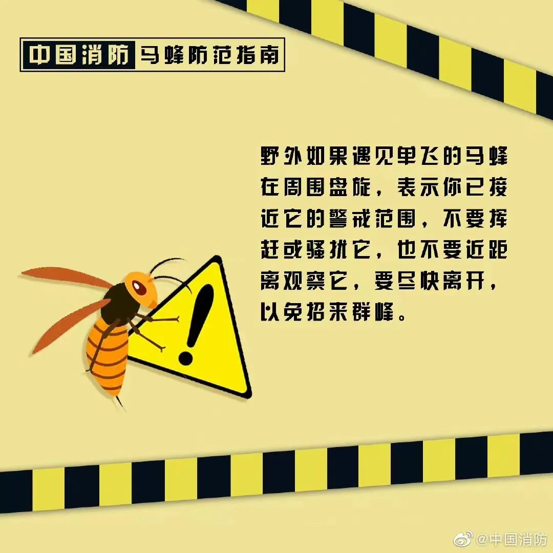 塔吊工被马蜂蜇伤失去意识，被困66米平台-塔吊上有鸟窝是好事还是坏事