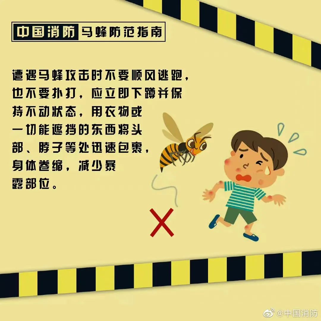 塔吊工被马蜂蜇伤失去意识，被困66米平台-塔吊上有鸟窝是好事还是坏事