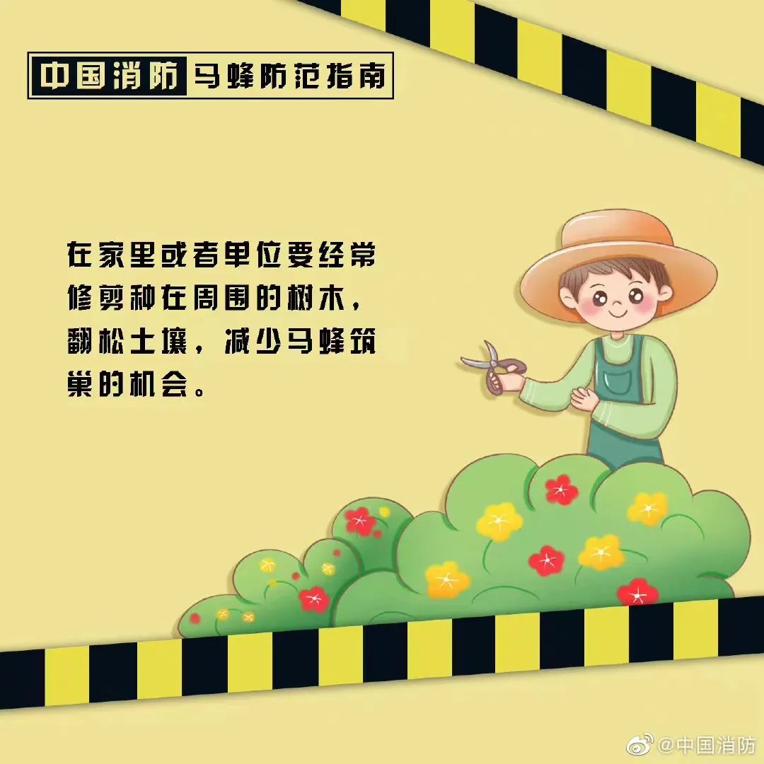 塔吊工被马蜂蜇伤失去意识，被困66米平台-塔吊上有鸟窝是好事还是坏事