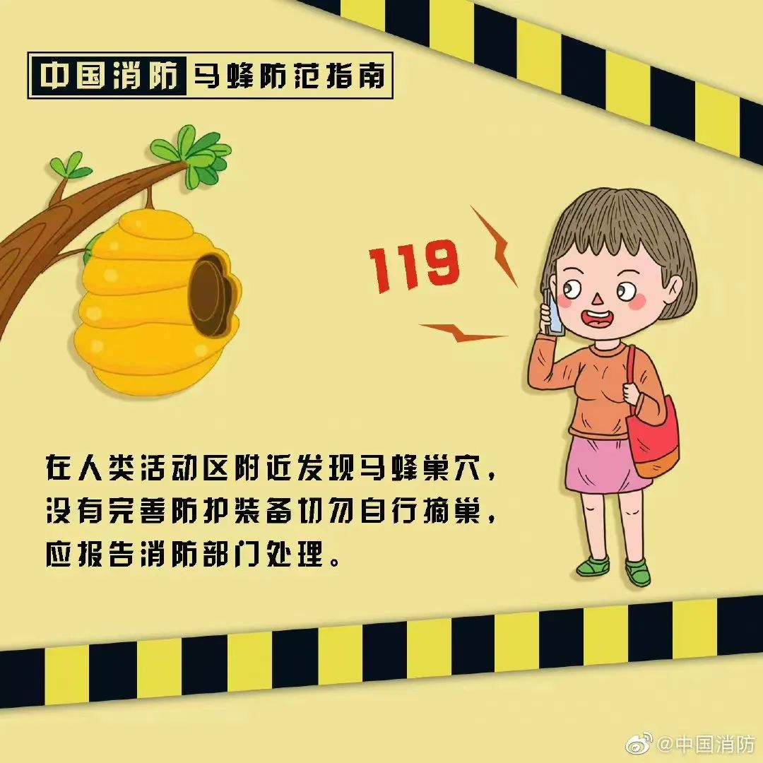 塔吊工被马蜂蜇伤失去意识，被困66米平台-塔吊上有鸟窝是好事还是坏事