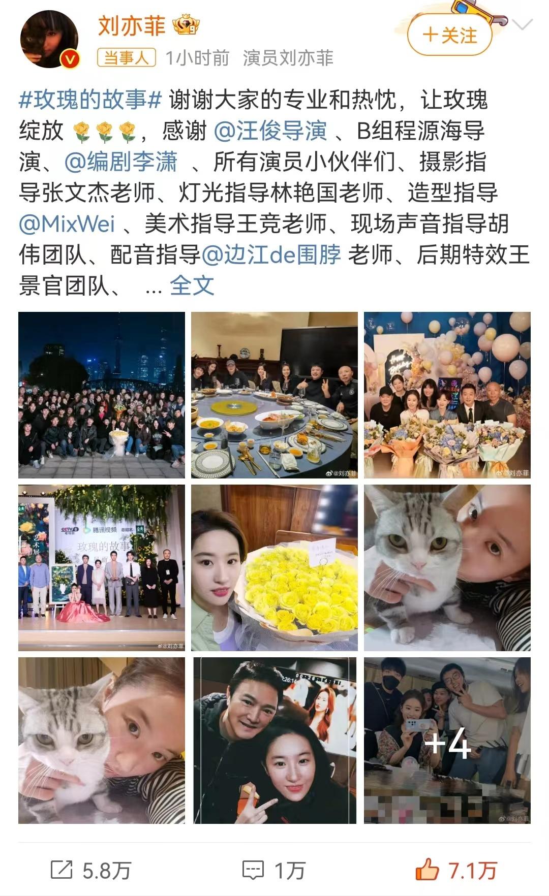 众星玩谐音梗告别《玫瑰的故事》，万茜穿编织袋，佟大为发表情包-播放万茜唱的歌