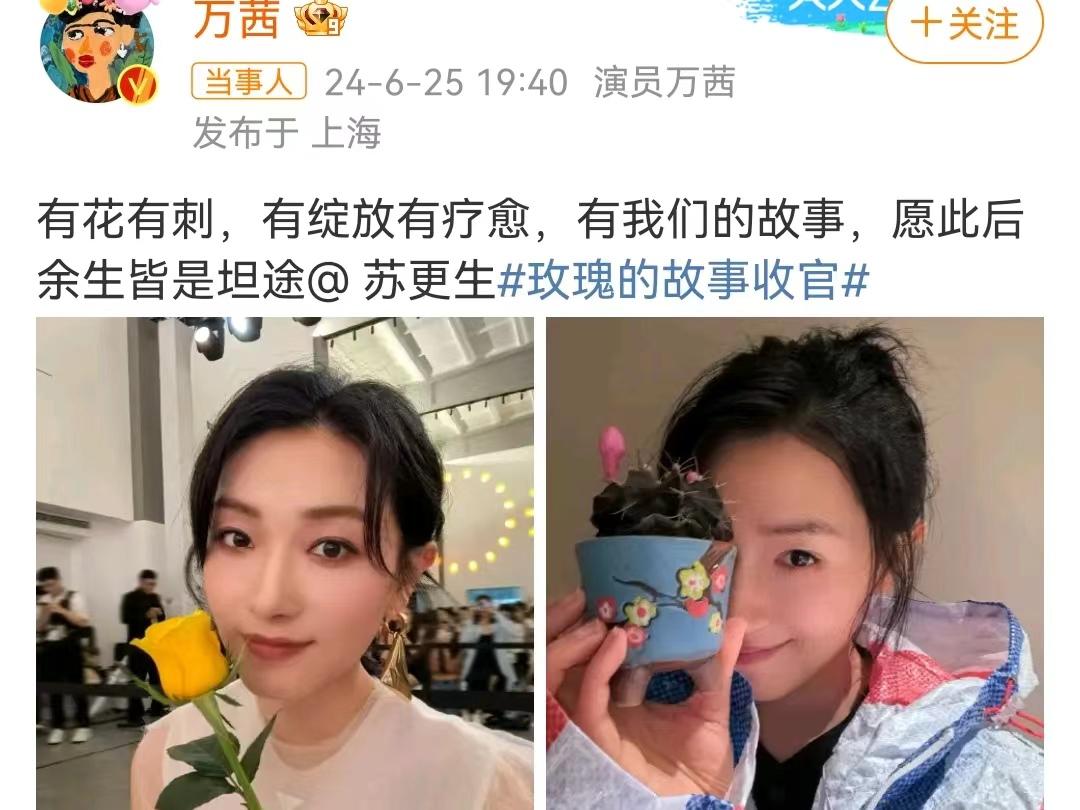 众星玩谐音梗告别《玫瑰的故事》，万茜穿编织袋，佟大为发表情包-播放万茜唱的歌