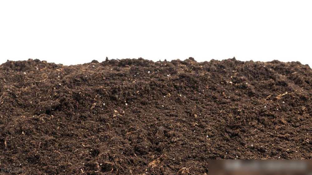 嫦娥六号已到家！月球样本在地球上有多重？要分享给哪些国家？-月球大概多重