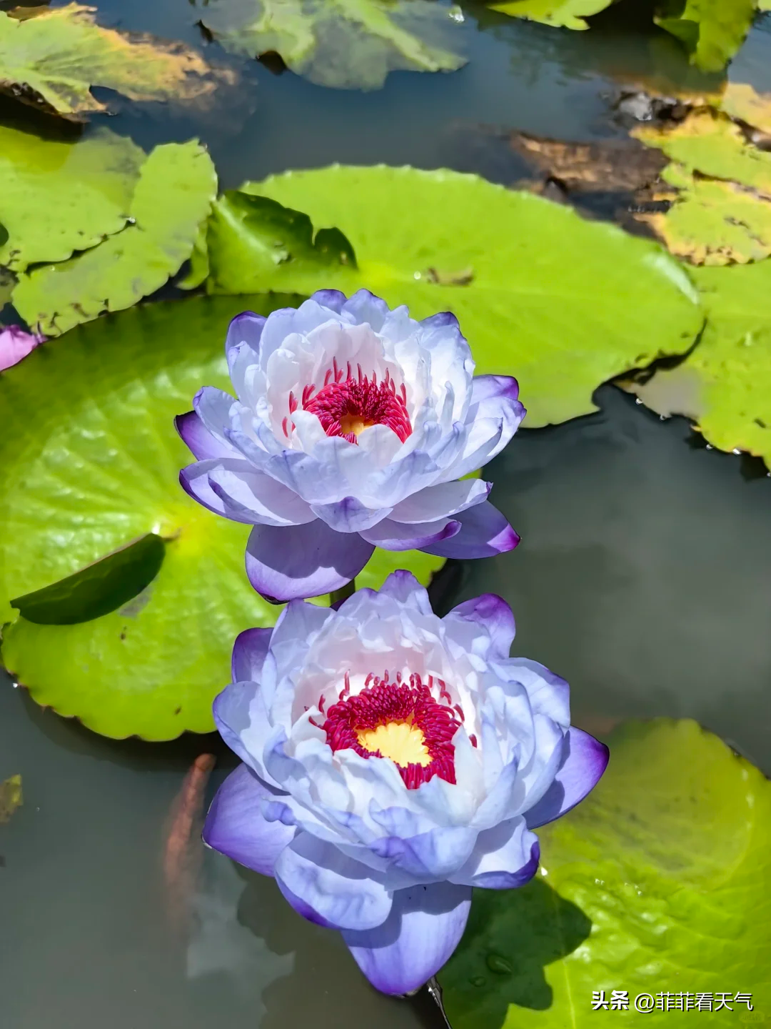 广西暴雨持续发威！今晚洪水猛涨，6月29~1日天气预报-广西洪水2020