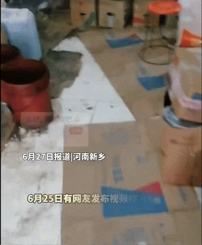 有人买4份餐领走胖东来4000元，有人倒亏300元：评论区一片叫好-胖东来骗局