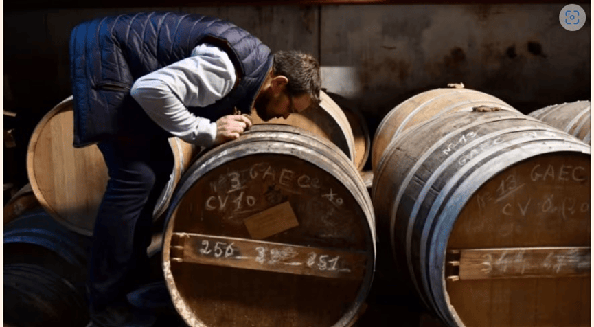 继白兰地之后，我国商务部启动对欧盟猪肉进口的反倾销调查-欧洲进口猪肉多少