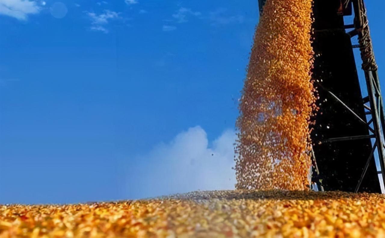 外企掌握中国食用油70%批发权，谁是中国食用油沦陷的幕后黑手？-国内食用油市场